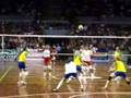 voley peru vs brasil