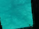 Ayia Napa - Morsko dno 1