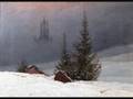 videos de Schubert - Winterreise - 