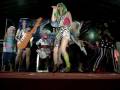 videos de Jem Team Argentina-Animate 2008