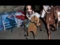videos de Breyer jumping lesson