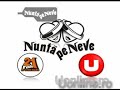 nunta pe neve-noaptea nuntii si petrecerea de  nunta Manele-Gratis.net