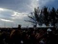 videos de Growling Machines - Rounders & Dream On (Tribe rj 11/10/08)