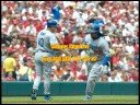 Dominicans in the major leagues in 2008