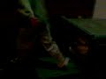 anxo chungui y compa�ia