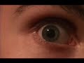 d'abord un travail en cours de communication par l'image au c�gep, the pumpkin est devenu le premier film de notre mini-collectif ; profondo nero productions.

 ceci raconte l'histoire d'un gars qui regarde paisiblement un film chez lui lorsqu'il re�oit une lettre �trange. les ennuis ne font que commencer... the pumpkin a �t� influenc� par plusieurs films, notamment demons de lamberto bava.