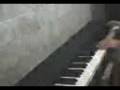 Hojas Muertas (Improvisación)