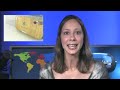 Geek Brief TV #397