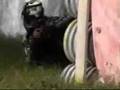 Paintball