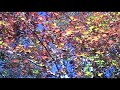\"Ethereal Atmospheres\"