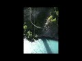 bungee