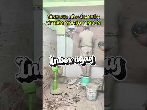 Bạn đau đầu vì WC, nhà tắm thấm mốc. Inbox ngay cho chúng tôi, đảm bảo xử lý dứt điểm triệt để!!!