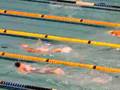 IPC-World-Swimming-C