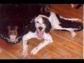 The McCrossin Family Dogs
