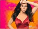 Courtney Cox Arquette