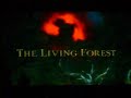 MK Shaolin Monks #11: The Living Forest MK Shaolin Monks #11: The Living Forest