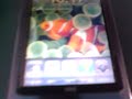 iPAQ iPhone is possible!