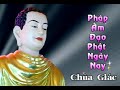 Thuật chăn trâu tâm - Thích Nhật Từ