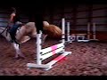 11 year old 15 hh aqha mare for sale in omaha ne. she is on equine.com and dreamhorse.com. quiet, good with kids, take a look!