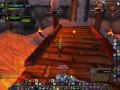 Hunter and Warrior 2v2 Arena