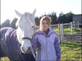 Horses and Calli$