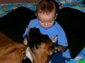 Best Boxer Buddies
