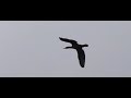 test test