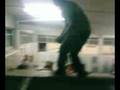 videos de Oso al precipicio