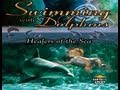 Aliens On Earth - Dolphins & Whales