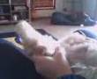 Assistir ao v�deo