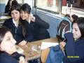 4j farmacia