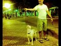 DRAKO EN EL PARQUE