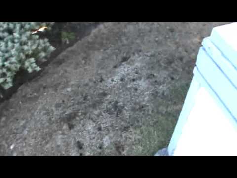 how to fertilize seed lawn