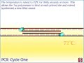 Here's a pretty simple video of the PCR for #BS1015, if any of you guys fancy going over it: http://www.youtube.com/watch?v=JRAA4C2OPwg