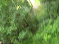 Big Island Eco Adventures Zipline 6 - Another Dirt Landing