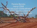 FLAGRANTE DESMATAMENTO PEREIRA BARRETO (II)