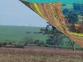 Antes, um paraíso ecológico; agora, no mapa dos biocombustíveis, o município está assistindo a devastação da natureza remanescente. Uma triste paisagem que se alterna entre o melancólico 