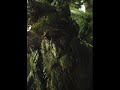 lord of the rings soundtrack last march of the ents
