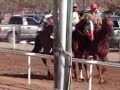 Revancha EL SHERIFF VS MARIA CHUCHENA CARRERA