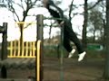 Movement, contains a lot of stuff filmed over about a month.