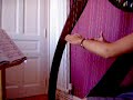 canon en ré de pachelbel