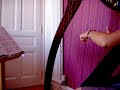 canon en ré de pachelbel