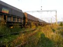 Marfa Carbune 3