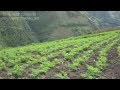 Click here to watch this video Terreno en cochaloma Ecuador 02.mpg