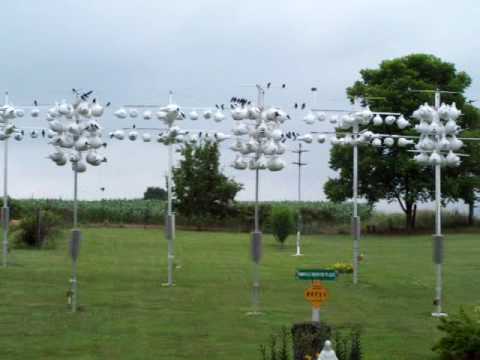 how to attract purple martins in nj