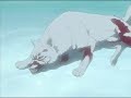 Wolf Characters Tribute - Whispers in the Dark