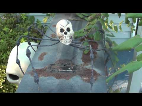 Halloween Decorations 2010