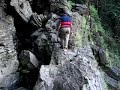Exploring Agumbe Exploring Agumbe