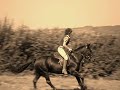 My Horses Jumping My Horses Jumping