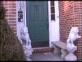 Bad Boys Inner Cricle Music Video UNOFFICIAL